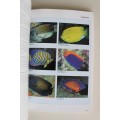 Reef Fishes & Corals - East Coast of Southern Africa -   Dennis King
