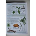 HERBS The visual guide to more than 700 herb species - Bremness