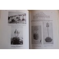 The Aloes of South Africa - G.W. Reynolds