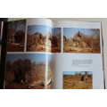 The Lions and Elephants of the Chobe - Bruce Aiken
