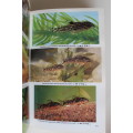 Dr. Axelrod`s Mini-Atlas of Freshwater Aquarium Fishes - 992 pages