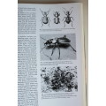 African Insect Life - S.H. Skaife
