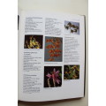 Letts Guide to Orchids of the World -  Neville Anderson