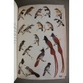 Roberts Birds of South Africa - McLachlan & Liversidge