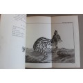 Tyger-cat of the Cape of Good Hope - (Johann Reinhold Forster 1729-98)