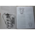 Gray`s Anatomy , a facsimile - Henry Gray