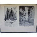 The Musical Instruments of the Native Races of South Africa - Percival R. Kirby