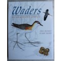 WADERS OF SOUTHERN AFRICA -- Phil Hockey and Clare Douie