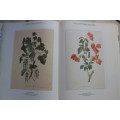 The Art of Botanical Illustration: The Classic Illustrators and Their Achievements from 1550 to 1900