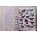 Roberts Birds of Southern Africa - (Editors- Hockey, Dean & Ryan)