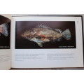 Field guide to the edible fishes and shellfishes in coastal waters of Ecuador