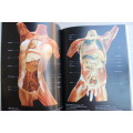 Body Worlds: The Original Exhibition of Real Human Bodies by Gunther von Hagen