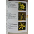 Wild Flowers Of The Cape Peninsula - Hugh Clarke, Corrine Merry