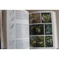 The Complete Field Guide To The Trees of Natal Zululand and Transkei - Elsa Pooley