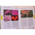 Creative Gardening with Indigenous Plants A South African Guide by Pitta Joffe & Tinus Oberholzer