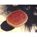 A mushroom shaped tree stump side table or foot stool