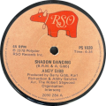 ANDY GIBB - SHADOW DANCING / LET IT BE ME (7 SINGLE 45) SA 1978 RSO PS 1020