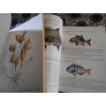 3 TSITSIKAMA NATIONAL COASTAL  PARK BOOKS  SEAWEEDS, FISHES, FLOWERING PLANTS