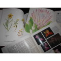 3 wildflower books - Wild flowers  Witwatersrand - A Lucas  and   2 veld and flora magazines