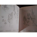 Sketches for the Flora -  Martin W. Keble - 1972 Michael Joseph London illustrated sketches hardback