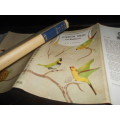 DHS RISDON - FOREIGN BIRDS FOR BEGINNERS 1965 Londen Life books
