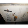 Waders of Southern Africa` - Phil Hockey FIRST EDITION STRUIK WINCHESTER BOOK IN BOX