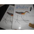 Waders of Southern Africa` - Phil Hockey FIRST EDITION STRUIK WINCHESTER BOOK IN BOX