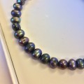 Genuine Black Pearl Bracelet - 24cm