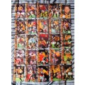 1997 Panini Complete Rugby Card Collection