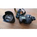 Nikon D80 Digital DSLR Camera with 18-135mm Lens