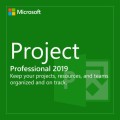 Retail Microsoft Project Professional 2019 Licensed for 1 Windows 10 PC/Laptop - Full Version