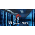 Microsoft SQL Server 2019 Standard Licensed for 1 Device with 5 CALs - Promotional Offer Only