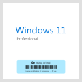Microsoft Windows 11 Professional Retail -Upgrade from Windows Home to Pro Edition