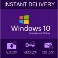 Microsoft Windows 10 Professional License
