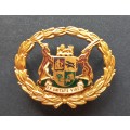 SADF `RHODESIA CONFLICT` WARRANT OFFICER RANK BADGE