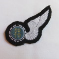 TARGET TOW OPERATOR WING 1986-1990'S- 2 PINS