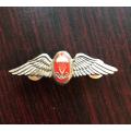 SA PARACHUTE INSTRUCTOR CHROME & ENAMEL MESS DRESS WING-WORN FROM 1970'S-2 PINS