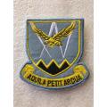 15 SQUADRON PATCH-WORN 1970'S TO MID 1990'S ON RIGHT UPPER ARM