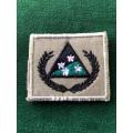 SPECIAL FORCES INSTRUCTORS PATCH FOR TACTICAL RECCE COURSE