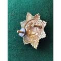 SA CAP BADGE-SOLID CENTRE WITH SCREW LUGS-MEASURES 35X42 MM
