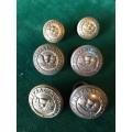TRANSVAAL SCOTTISH BRASS BUTTONS- 6 IN TOTAL-WORN BY OFFICERS W.O.'S & SGTS ONLY