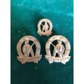 COMMANDOS BRASS COLLARS AND ONE MESS DRESS COLLAR- WORN 1963-1970`S-PINS COMPLETE