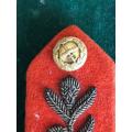 ARMY GENERAL OFFICERS,GORGET PATCH-NOTE GOLD BUTTON (EARLY PATTERN)