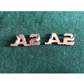 SA BRASS COLLAR TITLES-SOLD IN PAIRS-PINS + LUGS INTACT