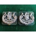 WARRANT OFFICERS CLASS 1,CHROME RANK BADGE PAIR,ONLY WORN BY THE ARMY-PINS INTACT