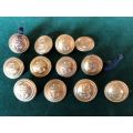 SA NAVY BUTTONS,USED PRE 2003-DIAMETER 22,5 MM- 12 IN TOTAL