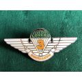 RHODESIA LIGHT INFANTRY 3 LOVERS COMMANDO LUCITE COVERED-ASSOCIATION BADGE- 2 PINS