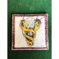 SA MEDICAL SERVICES WELFARE OFFICERS CLOTH BREAST BADGE