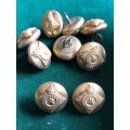 SA TUNIC BUTTONS GILT (PERMANENT FORCE) WORN FROM 1923-1945-IN TOTAL-DIAMETER 13 MM