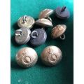 SA TUNIC BUTTONS GILT (PERMANENT FORCE) WORN FROM 1923-1945- 9 IN TOTAL- DIAMETER 16 MM